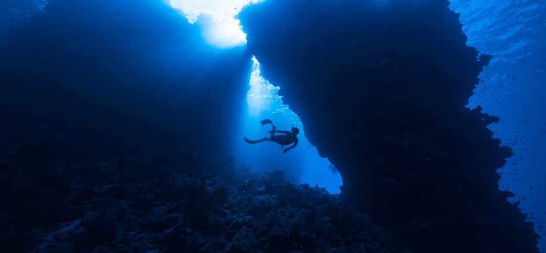 découvrez les merveilles de l'exploration, un voyage fascinant à travers des paysages inexplorés, des cultures fascinantes et des expériences uniques qui éveillent l'esprit aventurier en vous.