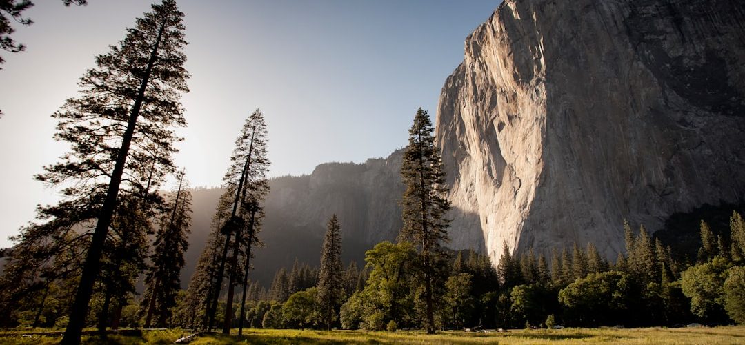 découvrez la beauté et la diversité de la nature à travers nos articles, images et conseils. explorez des paysages époustouflants, apprenez sur la flore et la faune, et inspirez-vous pour protéger notre planète.