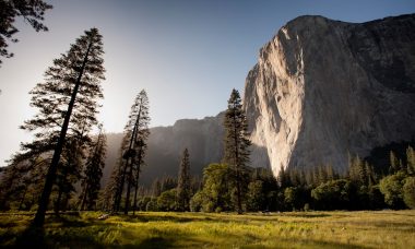 découvrez la beauté et la diversité de la nature à travers nos articles, images et conseils. explorez des paysages époustouflants, apprenez sur la flore et la faune, et inspirez-vous pour protéger notre planète.