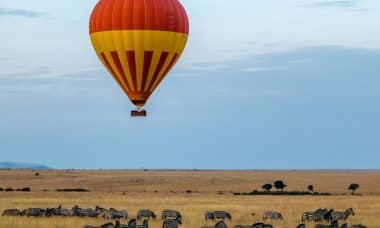 découvrez l'excitation d'un safari à travers des paysages sauvages époustouflants, où vous pourrez observer la faune dans son habitat naturel. vivez une aventure inoubliable au cœur de la nature, que ce soit en afrique ou dans d'autres destinations exotiques.